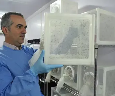 Cientista brasileiro que combate a dengue é destaque mundial em 2025 - Imagem