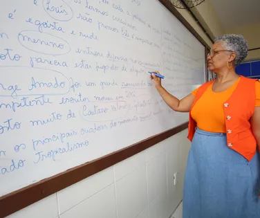 Congresso libera acúmulo de cargos para professores da rede pública - Imagem