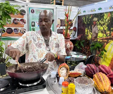 Eis o Nibis, o cacau caminhando para além do chocolate - Imagem