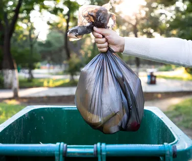 Lixo fora de hora: multas pesadas podem chegar a R$ 100 mil - Imagem