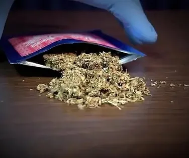 Maconha será reclassificada como droga 'menos perigosa' nos EUA - Imagem