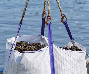 Maior polo do mundo: China transforma o mar em megafazendas - Imagem