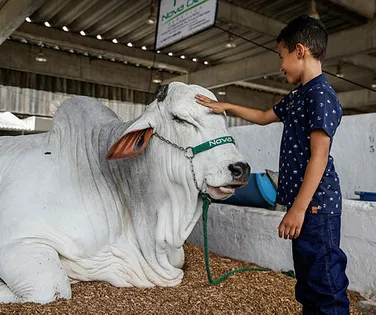 Na Fenagro, a gurizada esbanja  alegria, com brinquedos e animais - Imagem