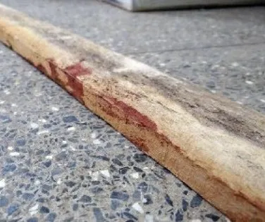 Nova Richthofen? Menina de 14 anos mata a mãe a pauladas com o namorado - Imagem