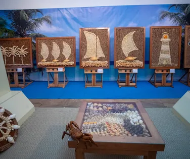 Nova temporada da mostra Conchas Preciosas atrai milhares de pessoas - Imagem