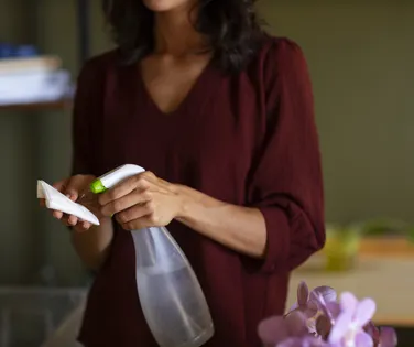 O segredo que elimina o cheiro de fritura e deixa a casa perfumada - Imagem