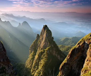Parque Nacional da Serra dos Órgãos lidera ranking de riqueza de flora - Imagem