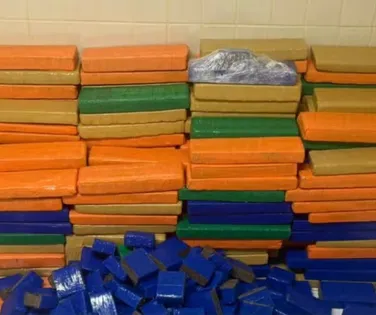 Polícia apreende quase 1 tonelada de maconha em Simões Filho - Imagem