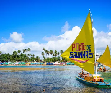 Porto de Galinhas: Violência contra turistas faz prefeitura agir - Imagem