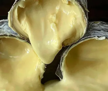 Queijo brasileiro entra na lista de melhores do mundo por revista americana - Imagem