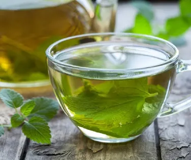 Segredo da longevidade: ciência aponta três bebidas essenciais - Imagem