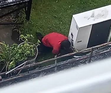 Vídeo: homem foge pelo telhado de órgão público em Salvador após furto - Imagem