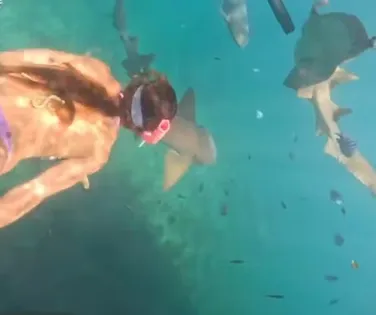 Vídeo: turista é mordida por tubarão durante mergulho em Noronha - Imagem