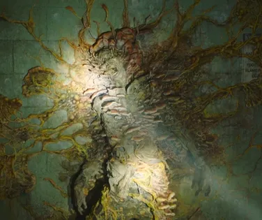 Aranha zumbi? Fungo de The Last of Us infecta criatura gigante no Brasil - Imagem