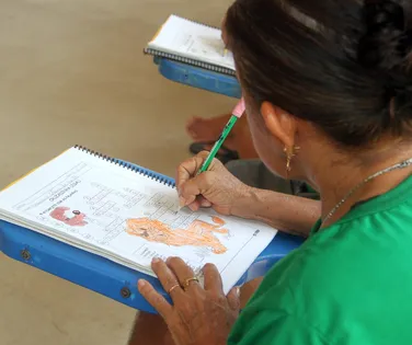 Bahia tem 331 municípios premiados por alfabetização - Imagem