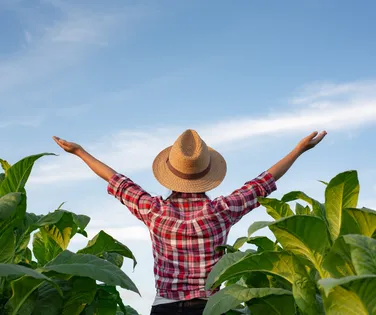 Em três anos, Brasil abriu 535 mercados. É a hora e a vez do marketing - Imagem