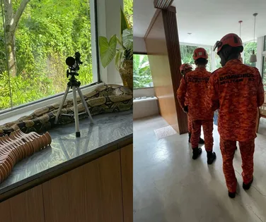 Ex-atriz da Globo encontra cobra em casa e aciona bombeiros - Imagem