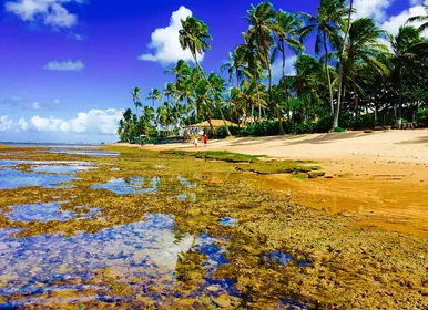 Bahia na lista: cinco destinos turísticos para curtir o Carnaval - Imagem