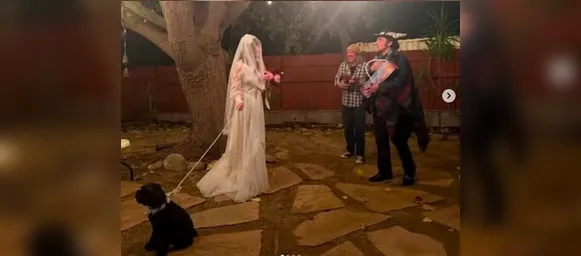 Cantora famosa se casa com cachorro no aniversário de 50 anos - Imagem