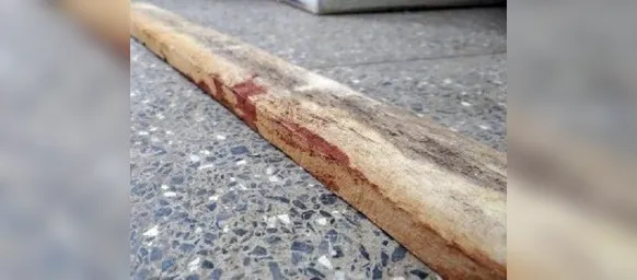 Nova Richthofen? Menina de 14 anos mata a mãe a pauladas com o namorado - Imagem