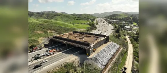 Ponte de R$ 100 milhões é construída só para onças, veados e cobras - Imagem