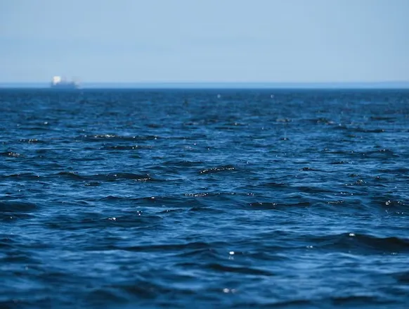 Cabeças humanas são encontradas penduradas em praia turística - Imagem