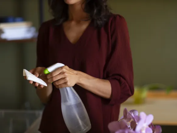 O segredo que elimina o cheiro de fritura e deixa a casa perfumada - Imagem