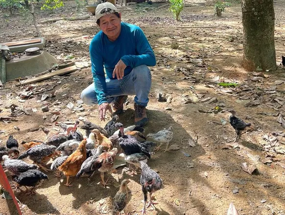 Adeus garimpo: Tecnologias agricolas são implantadas na terra Yanomami - Imagem