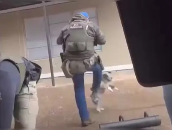 Agressão? Agente federal chuta cachorro durante abordagem policial - Imagem