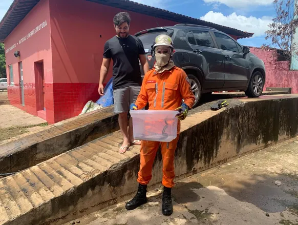 Cobra é resgatada dentro de carro na Bahia - Imagem
