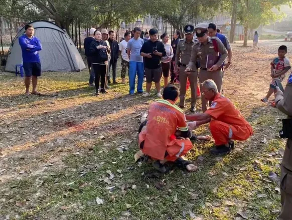 Elefante no cio pisoteia e mata três pessoas em parque na Tailândia - Imagem