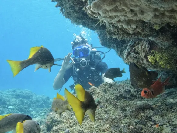 Mar cristalino, naufrágios e vida marinha: onde mergulhar em Salvador - Imagem