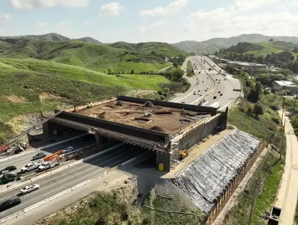 Ponte de R$ 100 milhões é construída só para onças, veados e cobras - Imagem