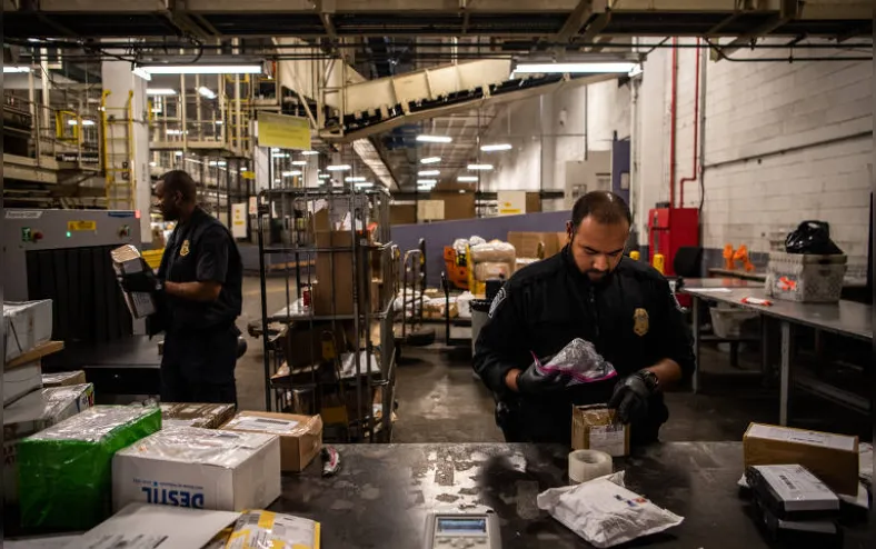 Alerta: sedativo para animais cria crise de abstinência mortal - Imagem