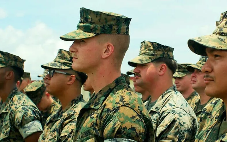 Apenas 4 episódios: nova série da Netflix sobre guerra vira sucesso - Imagem