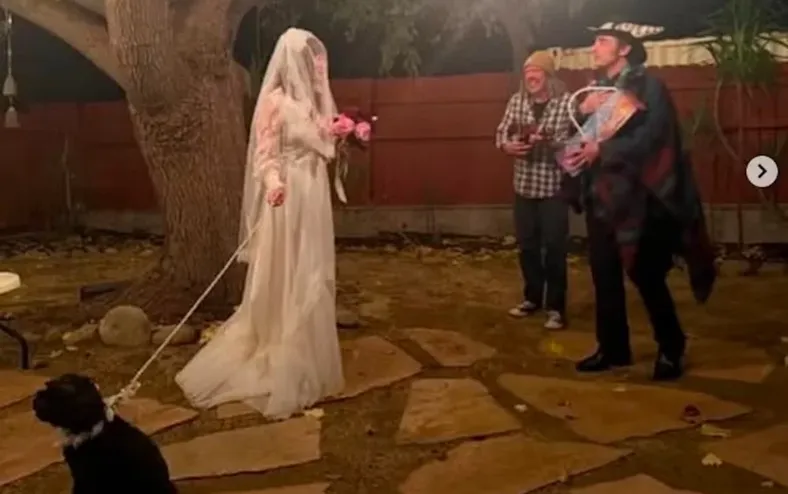 Cantora famosa se casa com cachorro no aniversário de 50 anos - Imagem