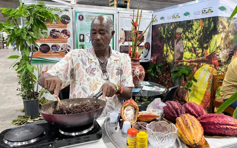 Eis o Nibis, o cacau caminhando para além do chocolate - Imagem