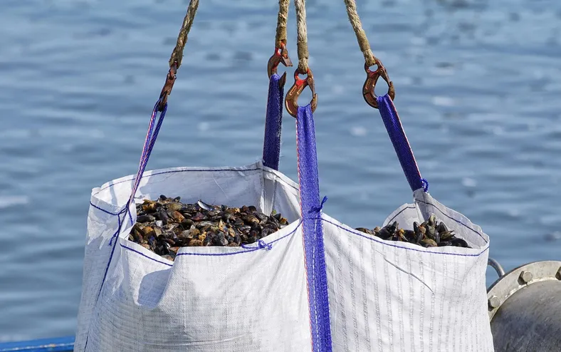 Maior polo do mundo: China transforma o mar em megafazendas - Imagem