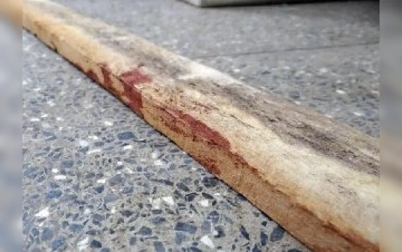 Nova Richthofen? Menina de 14 anos mata a mãe a pauladas com o namorado - Imagem