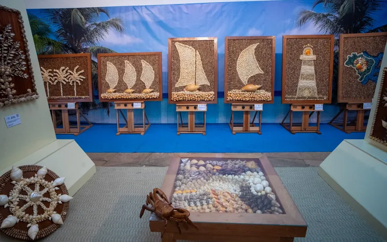 Nova temporada da mostra Conchas Preciosas atrai milhares de pessoas - Imagem