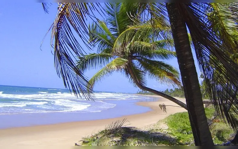 Prefeitura de Ilhéus proíbe exigência de consumação mínima nas praias - Imagem