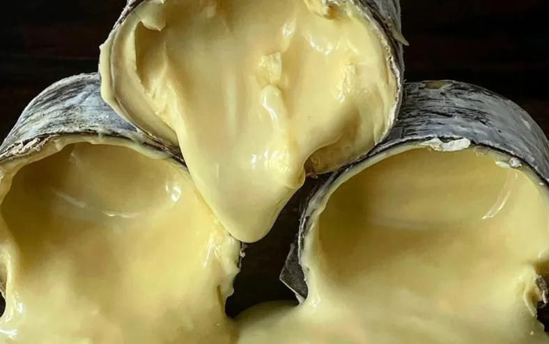 Queijo brasileiro entra na lista de melhores do mundo por revista americana - Imagem