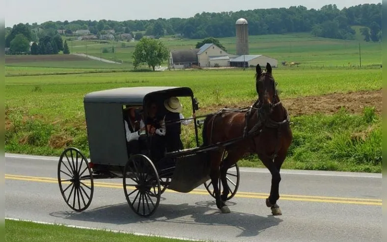 Sem internet, carros ou luz: conheça o povo que vive como no passado - Imagem