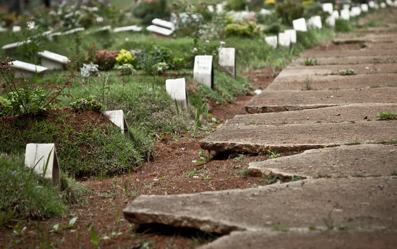 Doença letal tem primeira morte confirmada no Brasil em 2026 - Imagem