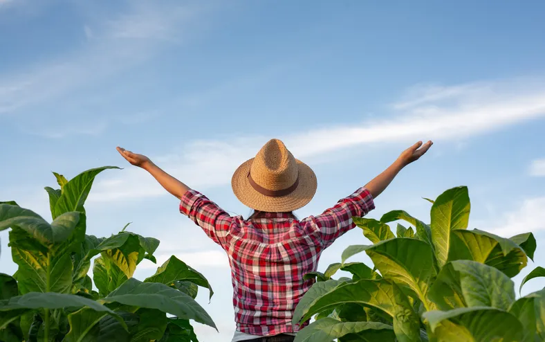 Em três anos, Brasil abriu 535 mercados. É a hora e a vez do marketing - Imagem