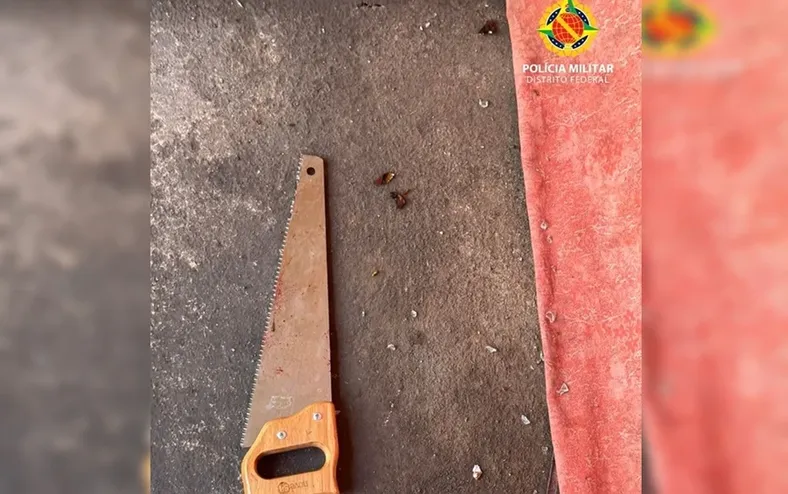 Homem tenta matar mãe com serrote e acaba preso - Imagem