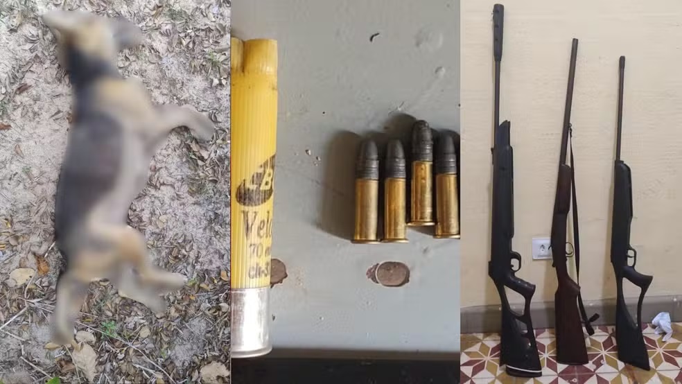 Corpo de homem é encontrado na Praia da Preguiça