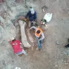 Ossos encontrados em obra de ferrovia são de dinossauro pescoçudo - Imagem