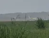 Avião da Gol sai da pista após pouso em Salvador - Imagem