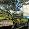 MPBA cobra atualização da limpeza da Lagoa Timeantube após denúncias